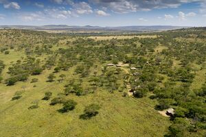 Naona Moru Camp